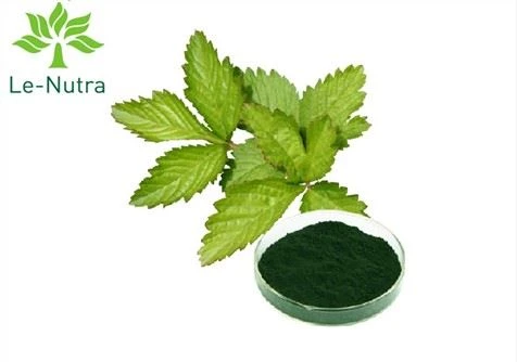 Chlorofilina miedzi sodowa
