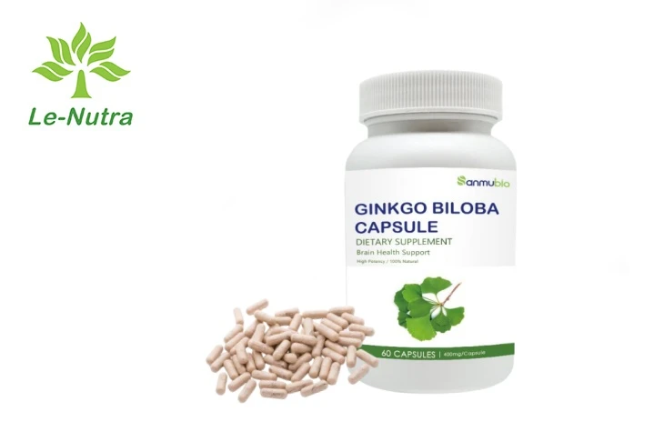 Ginkgo Plus Capsules