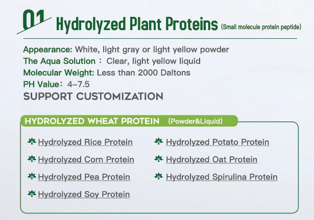 Soy Peptides
